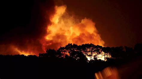 feuer algarve|Portugal wildfires: hundreds of firefighters tackle blaze in Odemira